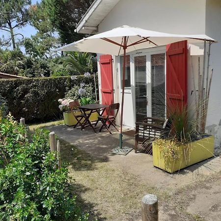 Maisonnette Proche De La Plage Tarnos Dış mekan fotoğraf