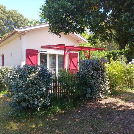 Maisonnette Proche De La Plage Tarnos Dış mekan fotoğraf